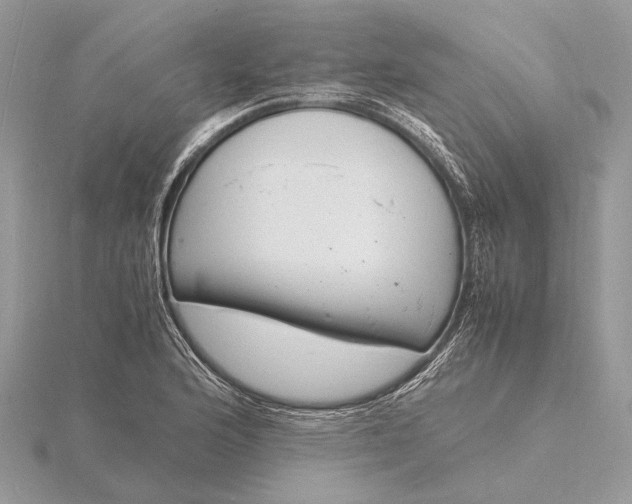 X0000116141176200912071237