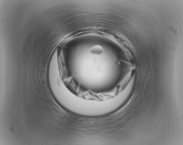 X0000116141177200912071237