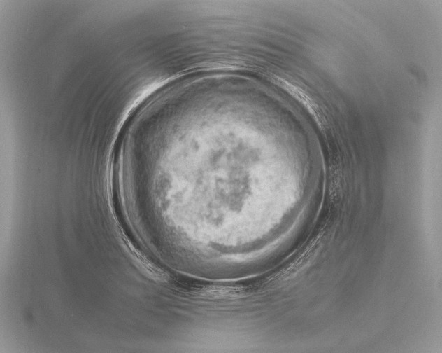 X0000116141179200912071237