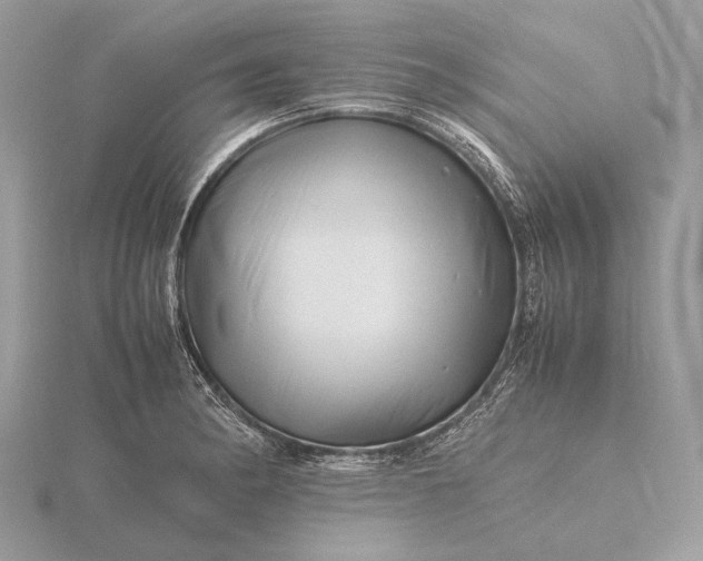 X0000116141182200912071237