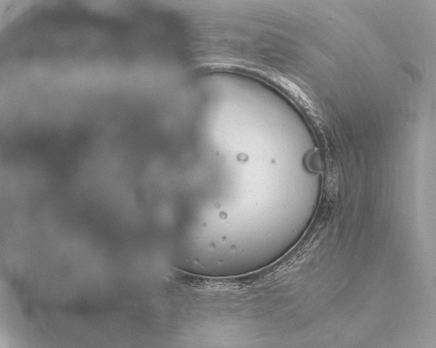 X0000116141183200912071237