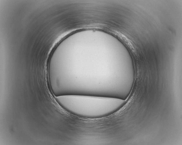 X0000116141184200912071237