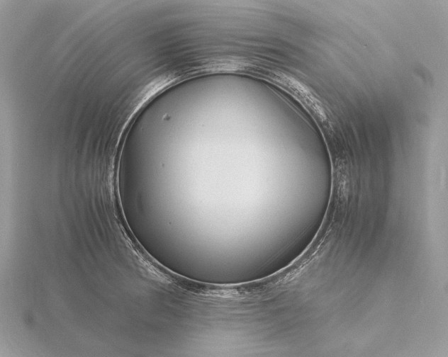 X0000116141186200912071237