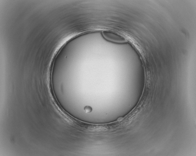 X0000116141187200912071237