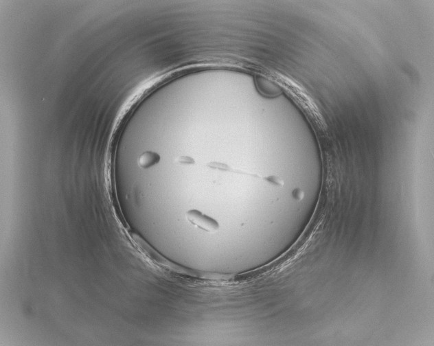 X0000116141188200912071237