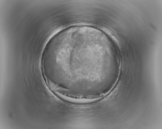 X0000116141189200912071237