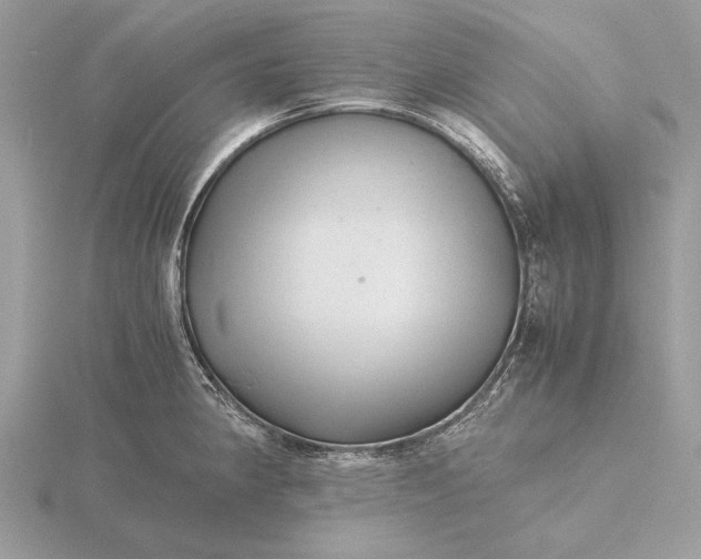 X0000116141190200912071237