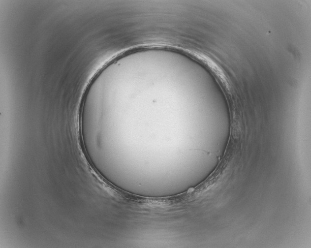 X0000116141191200912071237