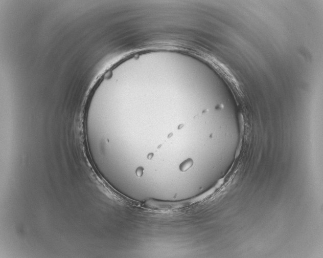 X0000116141192200912071237