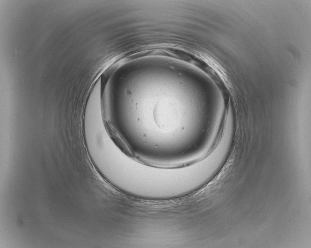 X0000116141193200912071237