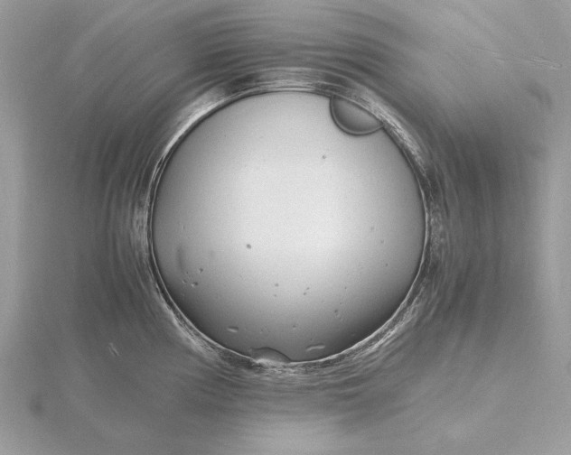 X0000116141194200912071237