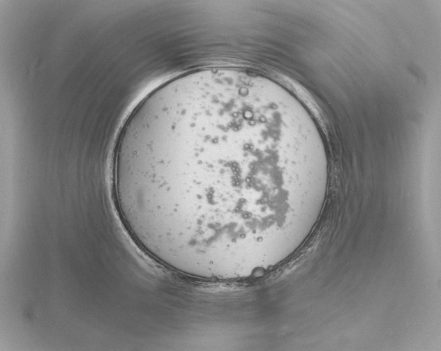 X0000116141195200912071237