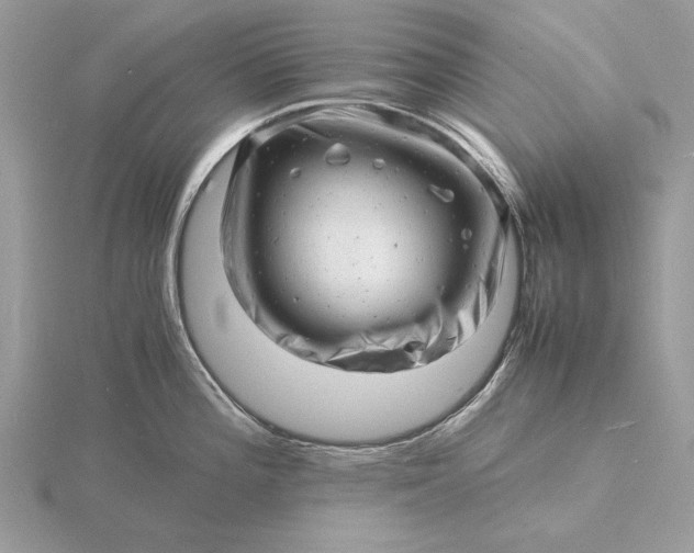 X0000116141196200912071237