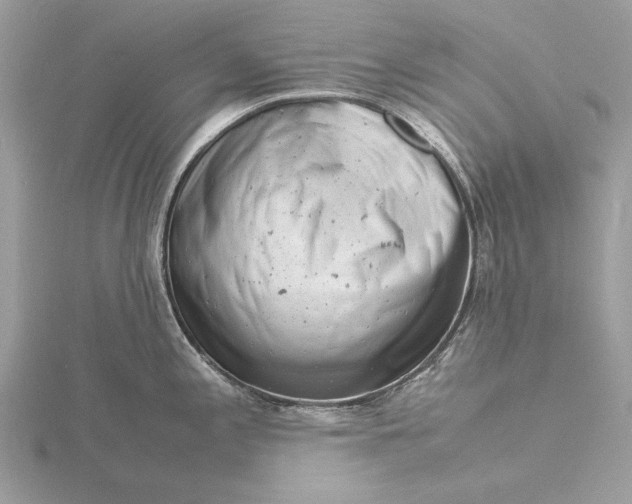 X0000116141197200912071237