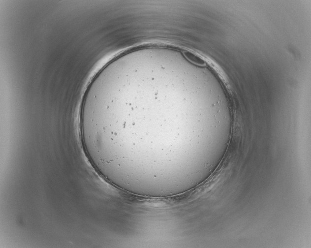 X0000116141199200912071237