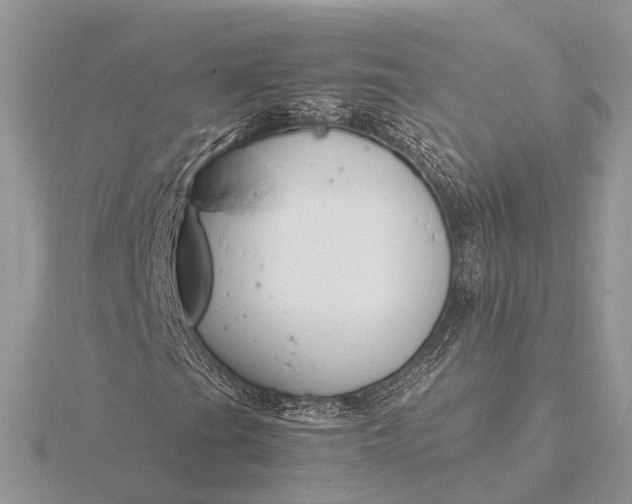 X0000116141201200912071236