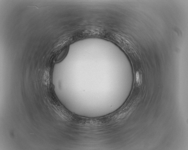 X0000116141203200912071236