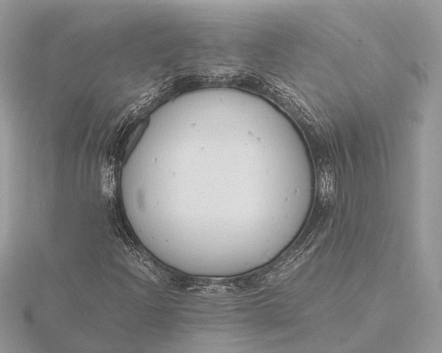 X0000116141204200912071236