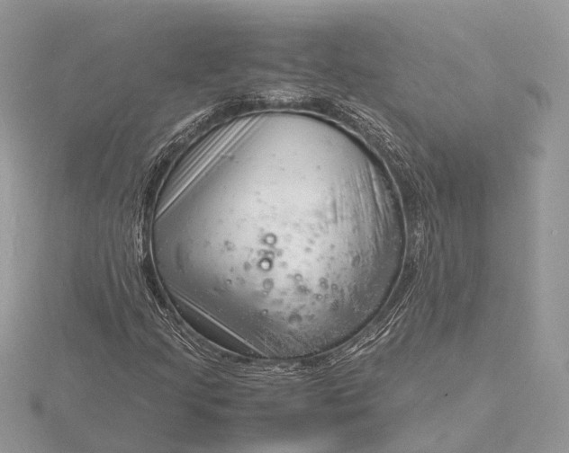 X0000116141205200912071236