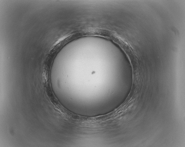 X0000116141206200912071236