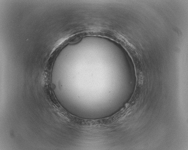 X0000116141208200912071236