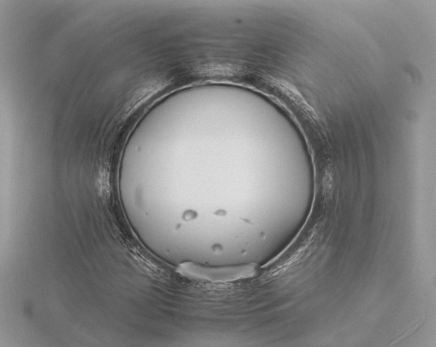 X0000116141209200912071236