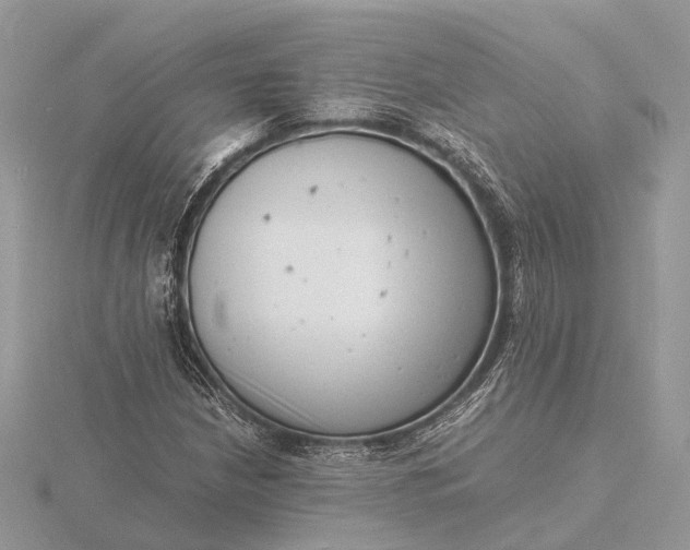 X0000116141210200912071236