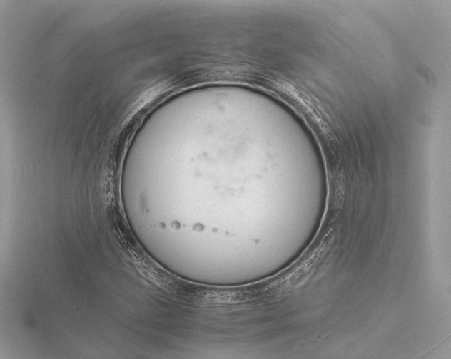 X0000116141211200912071236