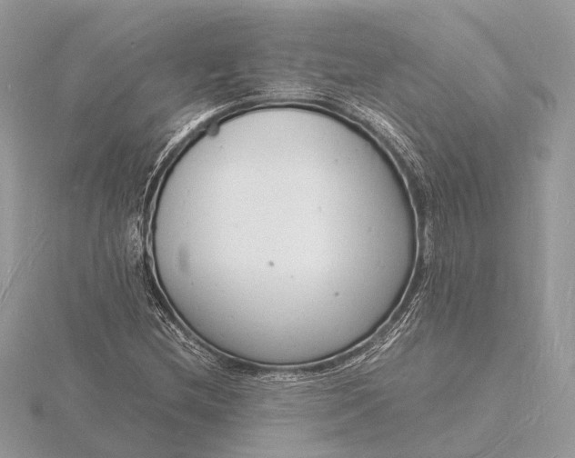 X0000116141212200912071236