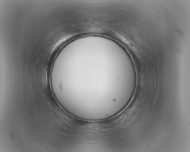 X0000116141214200912071236