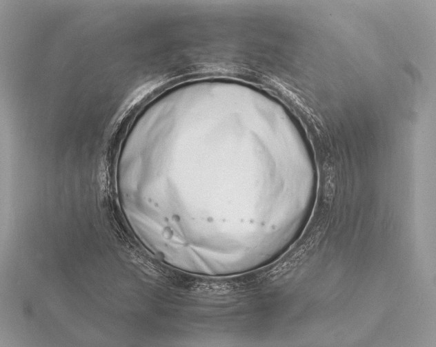 X0000116141215200912071236