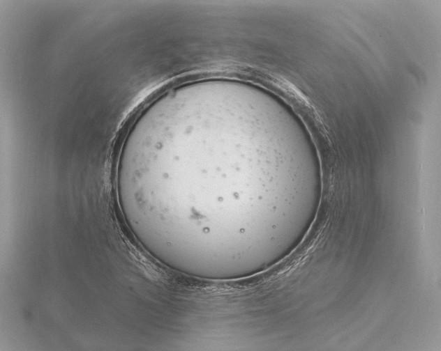 X0000116141216200912071236