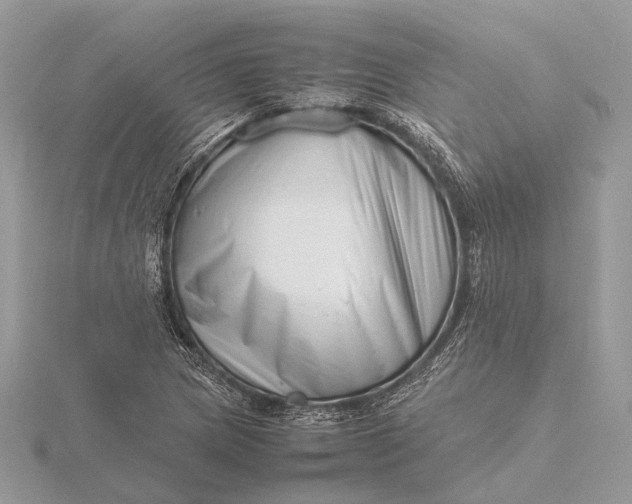 X0000116141217200912071236