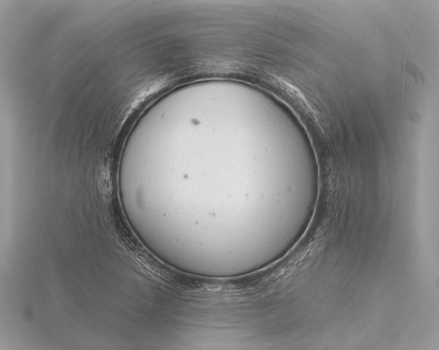 X0000116141218200912071236