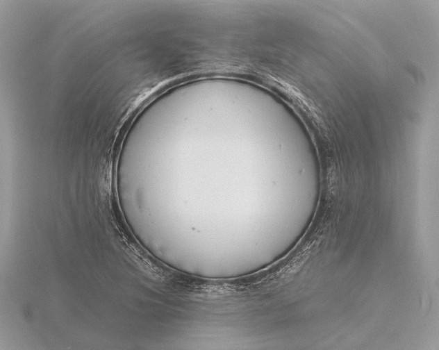 X0000116141220200912071236