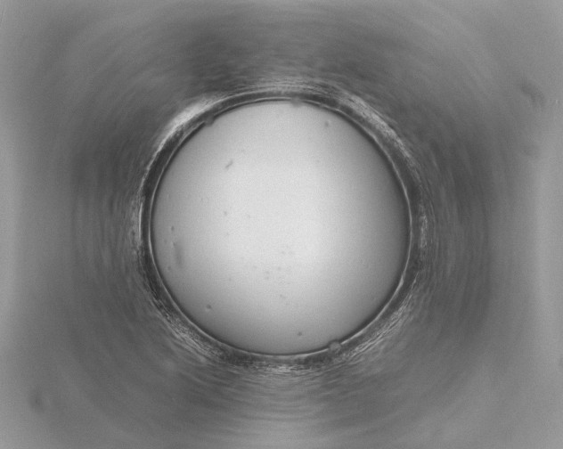 X0000116141222200912071236