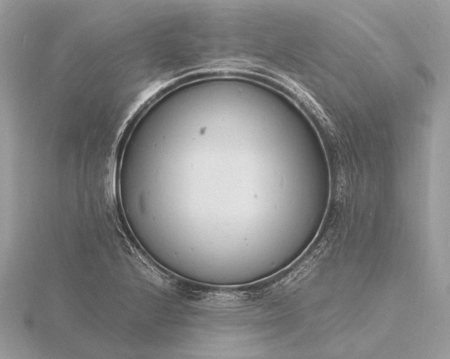 X0000116141224200912071236