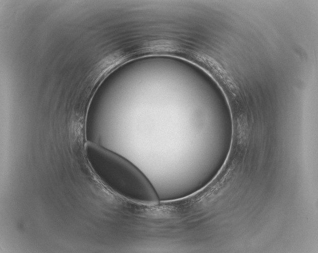 X0000116141225200912071236