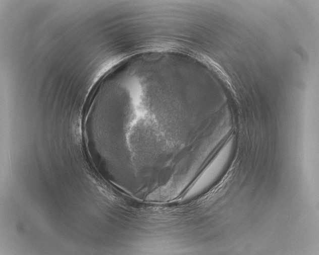 X0000116141226200912071236