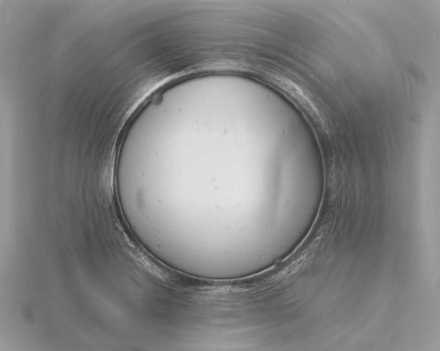 X0000116141228200912071236