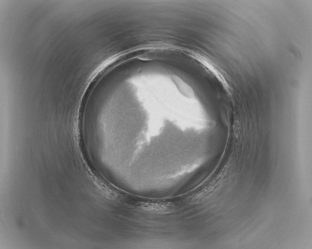 X0000116141229200912071236