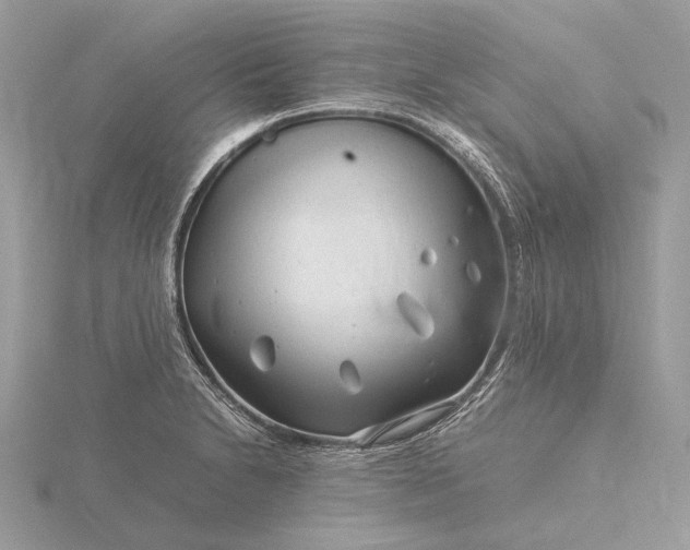 X0000116141230200912071236