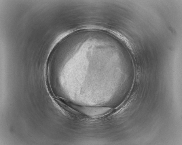 X0000116141231200912071236