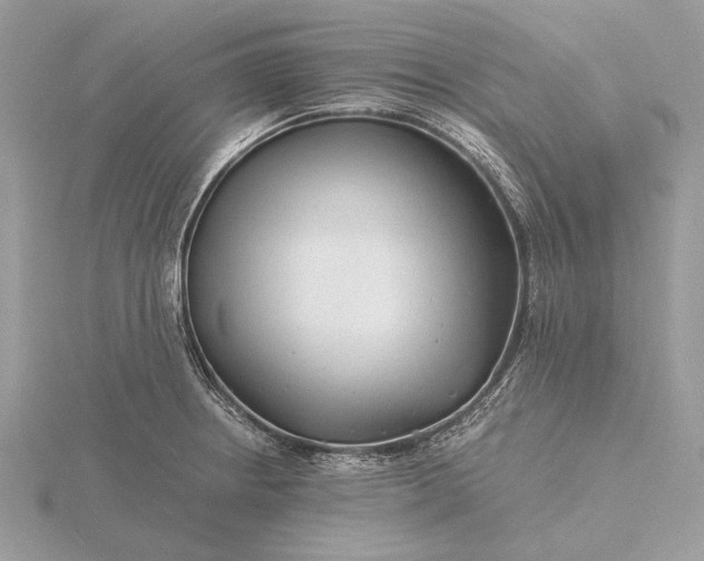 X0000116141234200912071236