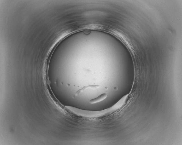 X0000116141235200912071236