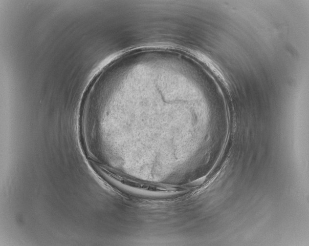 X0000116141237200912071236