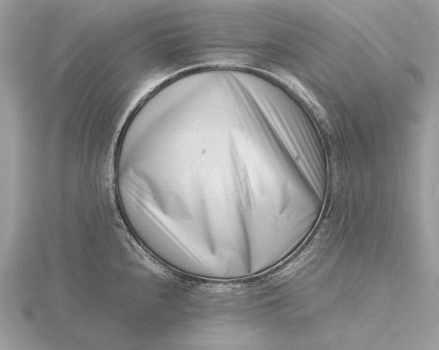 X0000116141240200912071236