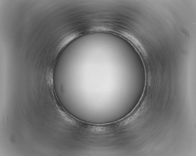 X0000116141241200912071236