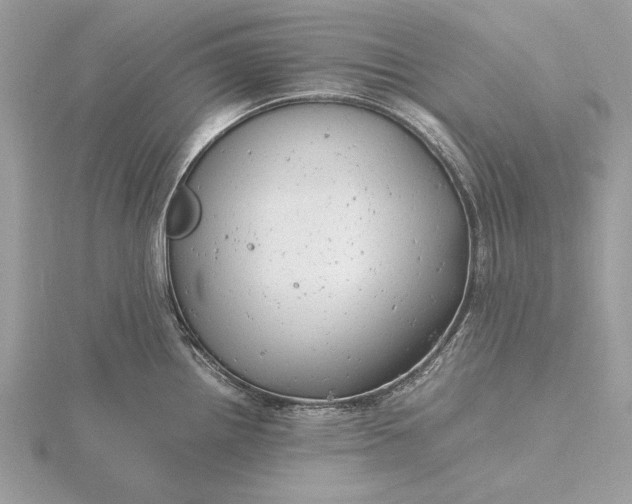 X0000116141242200912071236