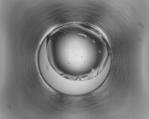 X0000116141243200912071236